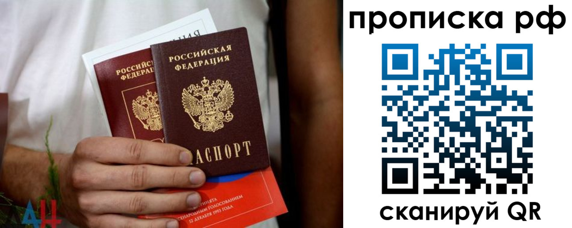 прописка паспорт в Шебекино